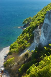 Kreideküste Rügen