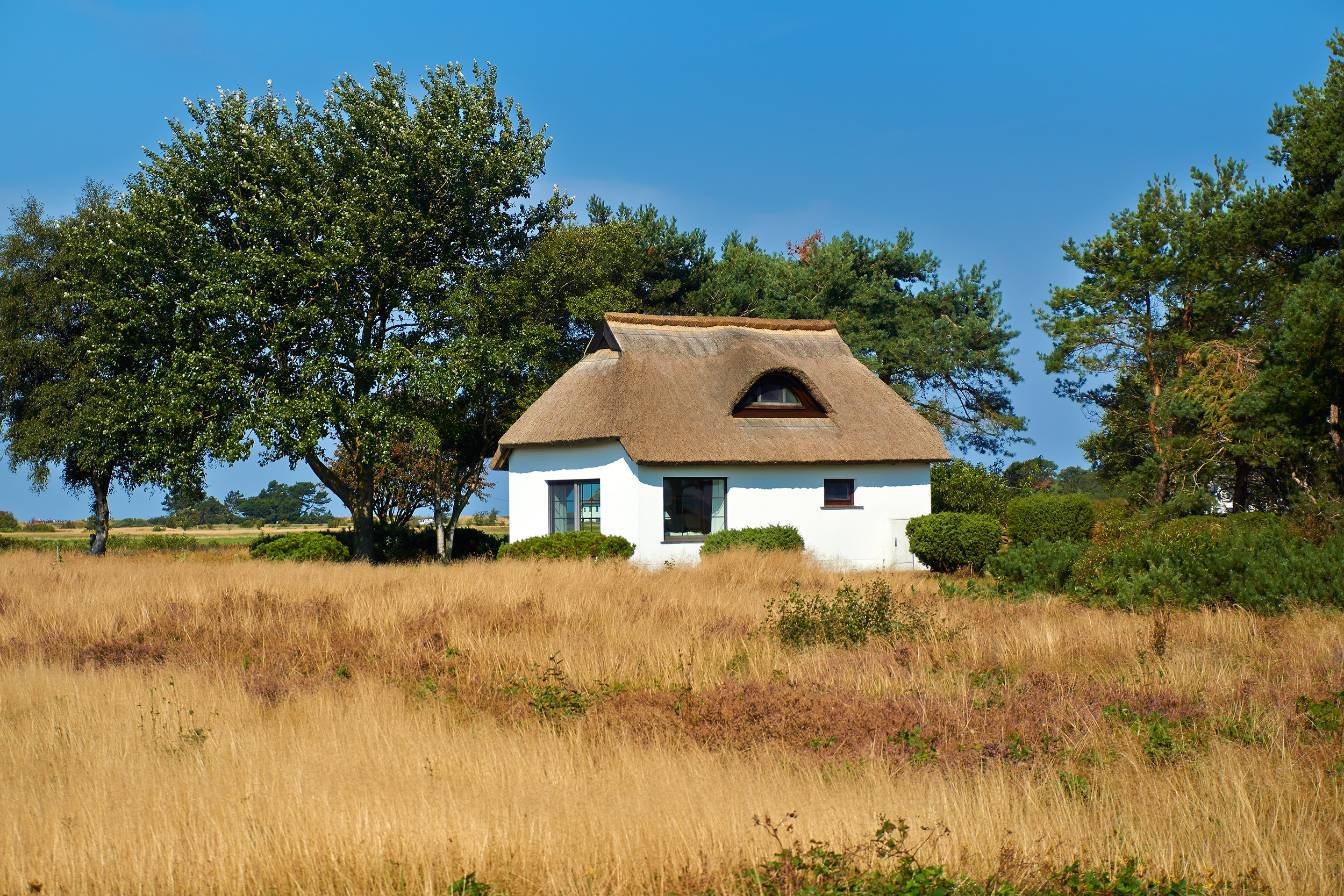 Heide Hiddensee